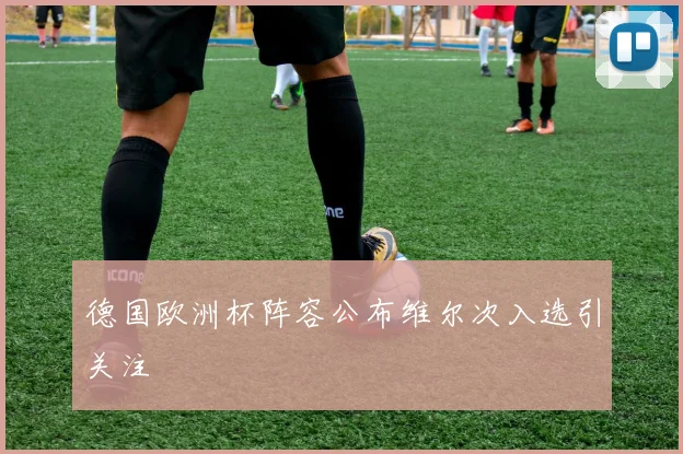 德国欧洲杯阵容公布维尔次入选引关注