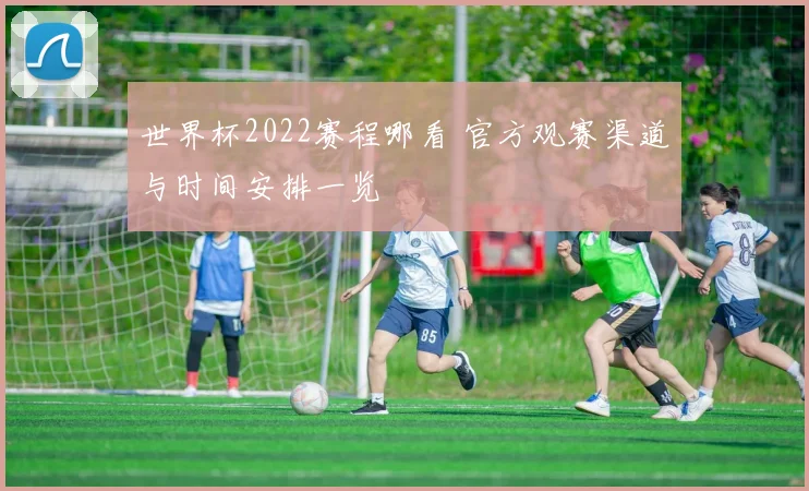 世界杯2022赛程哪看 官方观赛渠道与时间安排一览
