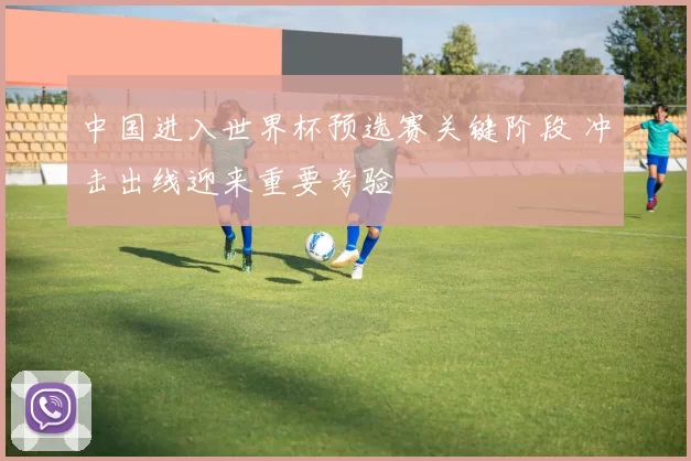 中国进入世界杯预选赛关键阶段 冲击出线迎来重要考验
