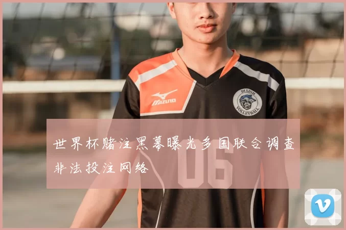 世界杯赌注黑幕曝光多国联合调查非法投注网络