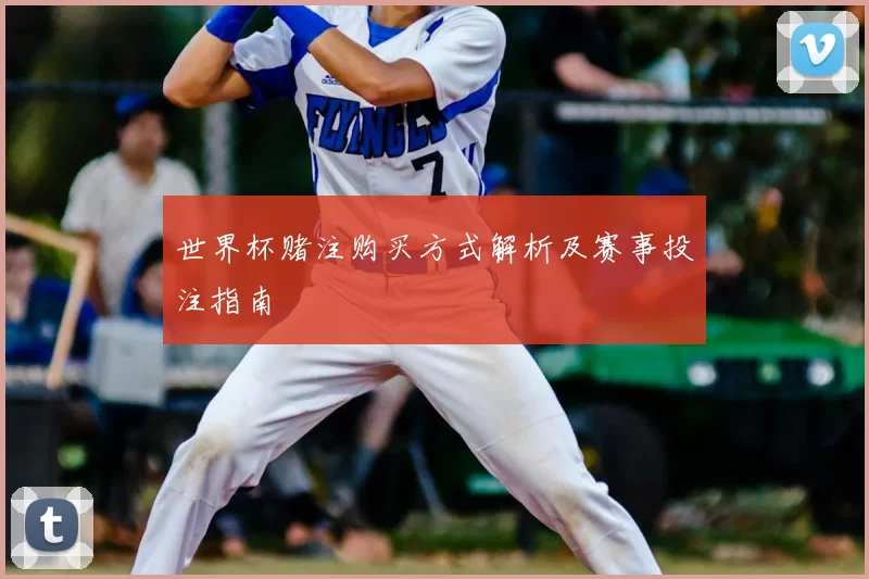 世界杯赌注购买方式解析及赛事投注指南