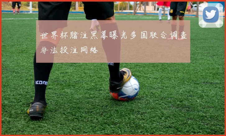 世界杯赌注黑幕曝光多国联合调查非法投注网络