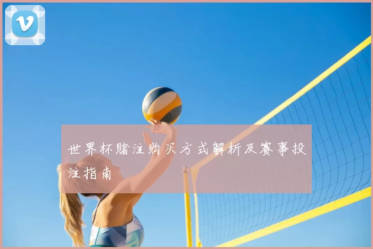 世界杯赌注购买方式解析及赛事投注指南