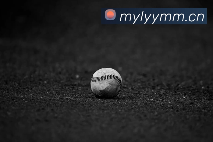 九游(NINEGAME)中国大陆手机娱乐第一门户 - 官方网站发展历程